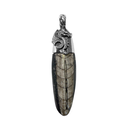 Elfcraft Anhänger Orthoceras Fossil Sterling Silber Unisex