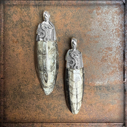 Elfcraft Anhänger Orthoceras Fossil Sterling Silber Drachenfassung
