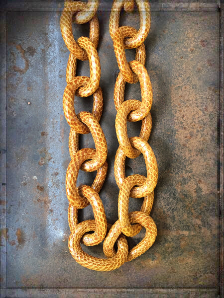 Kette | Snake | Cognac