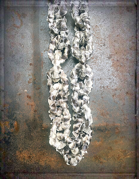 Kette | Snakeleather | Rough | Taupe | Natur