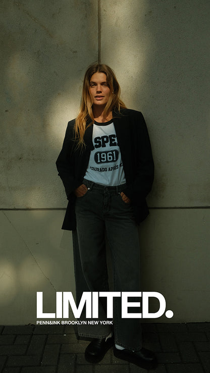 PENN&INK N.Y T-Shirt Print Aspen Colorado Grau Meliert Schwarz 100% Baumwolle Model