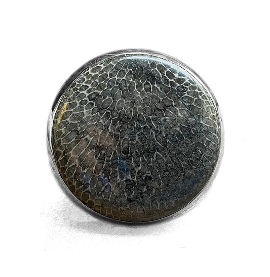 Ring Versteinerte Koralle Grau Groß Rund 925 Sterling Silber Unikat Größenverstellbar
